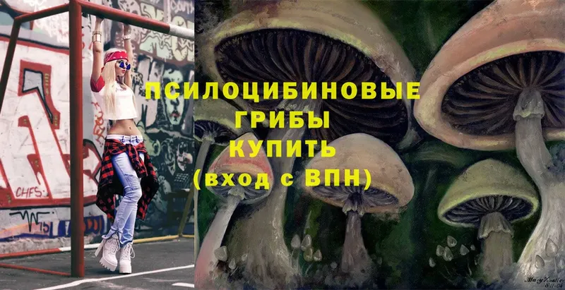 Галлюциногенные грибы Psilocybe  закладка  дарк нет клад  Абаза 